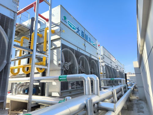 保障超1200萬居民至少15天的食品儲備，武漢主城區最大冷鏈倉儲項目竣工